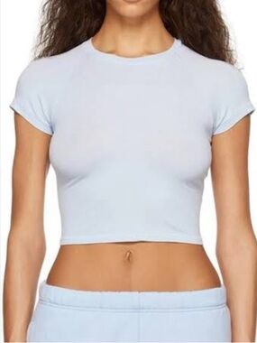 NWT Skims New Vintage Cropped Raglan T-Shirt